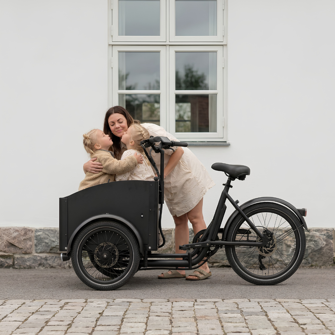 Chanty Cargo City Bike Elektrisch  