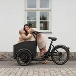 Chanty Cargo City Bike Elektrisch  
