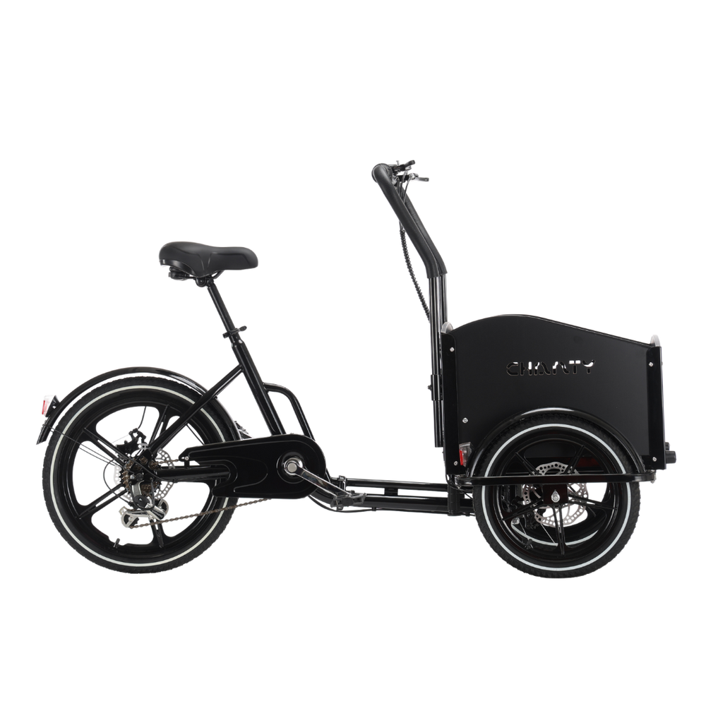 Schwarzes Lastenrad, Seitenansicht.