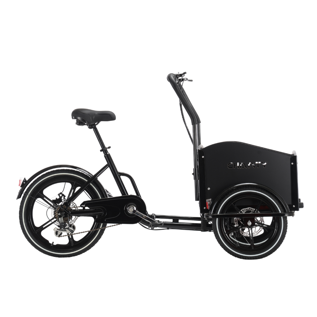Schwarzes Lastenrad, Seitenansicht.