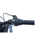 CHANTY Roader 20" Schwarzes Jungenfahrrad | 7 Gänge |