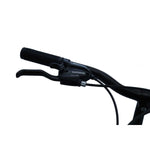 CHANTY Roader 24" Schwarz & Grün Jungenfahrrad | 7 Gänge |