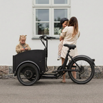 Chanty Cargo City Bike Elektrisch  