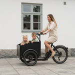 Chanty Cargo City Bike Elektrisch  