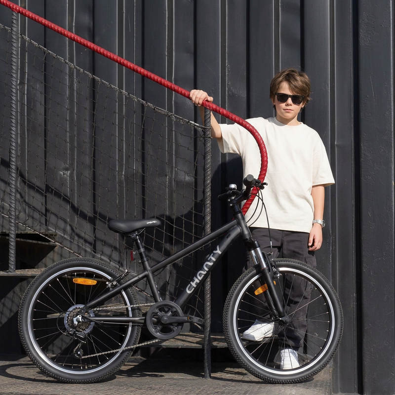 Chanty MTB 26" schwarz